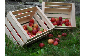 Obstkiste "Bodensee"