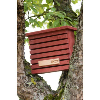 Schutzhütte für Florfliegen