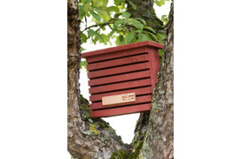 Schutzhütte für Florfliegen