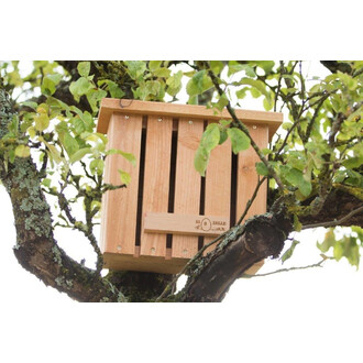 Schutzhütte für Schmetterlinge