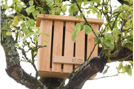 Schutzhütte für Schmetterlinge