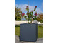 Cube Pflanzkübel 