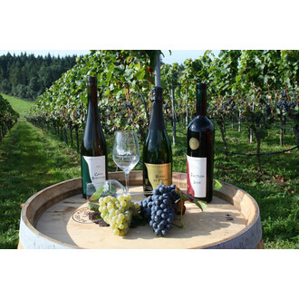 Wein und Sekt aus der Staatsdomäne Hohrainhof