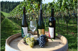 Wein und Sekt aus der Staatsdomäne Hohrainhof